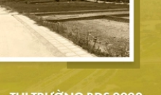 Thị trường Bất động sản - Khi đất nền bị "bỏ qu&ecirc;n"