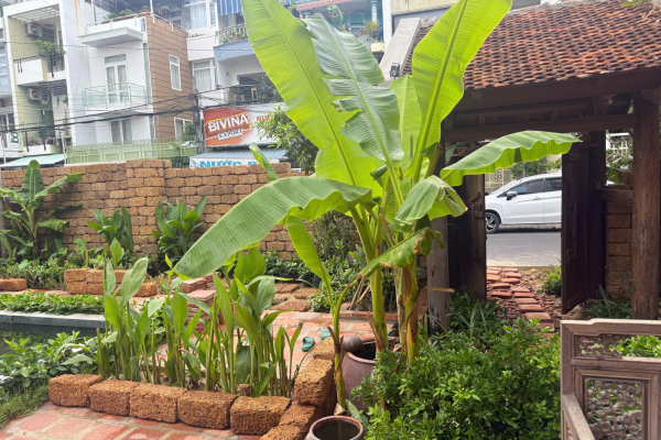 CHO THUÊ NHÀ CỔ MẶT TIỀN 16,5M ĐƯỜNG MẠC ĐĨNH CHI KHU BÀN CỜ TRUNG TÂM NHA TRANG – TỔNG DIỆN TÍCH SỬ DỤNG 312M² CÓ SÂN VƯỜN HỒ CẢNH QUAN GIÁ 80 TRIỆU/THÁNG (THƯƠNG LƯỢNG)