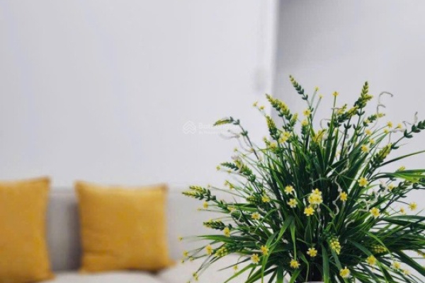 BÁN NHÀ PHỐ TÂN THÀNH BẮC NHA TRANG – DIỆN TÍCH 62M² TẶNG FULL NỘI THẤT CAO CẤP – SỔ HỒNG SANG TÊN NGAY GIÁ 2 TỶ 500 TRIỆU