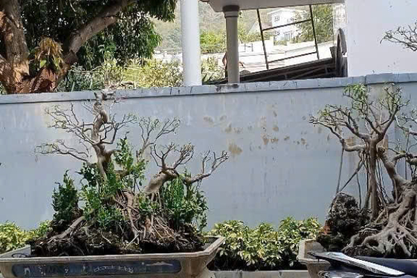 [SÂN VƯỜN RỘNG] NHÀ NGUYÊN CĂN GẦN CHỢ BA LÀNG – 250M² – THOÁNG MÁT – CHỈ 20TRIỆU THÁNG